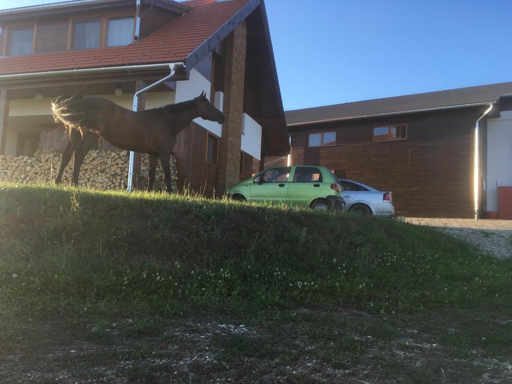 Kavalliera Pensiune Cotormani Eksteriør billede